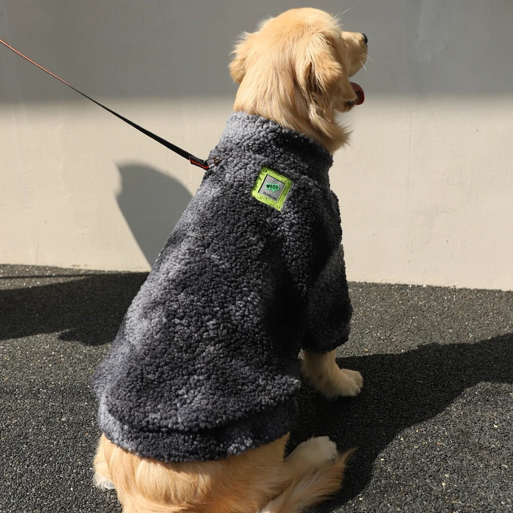 Windproof Dog Winter Coat – Warm & Stylish