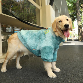 Windproof Dog Winter Coat – Warm & Stylish