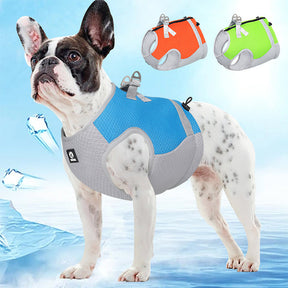 Cooling Dog Vest – Breathable & Adjustable