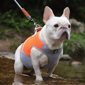 Cooling Dog Vest – Breathable & Adjustable