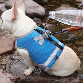 Cooling Dog Vest – Breathable & Adjustable