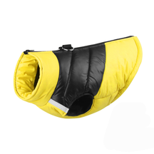 Waterproof & Insulated Dog Jacket