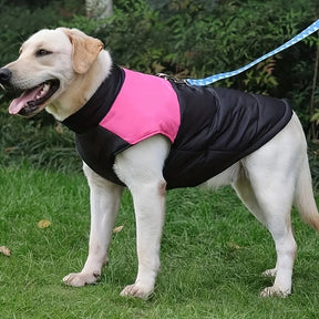 Waterproof & Insulated Dog Jacket