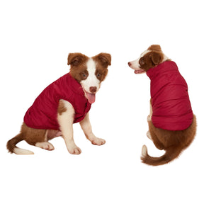 Small Dog Winter Coat – Fleece-Lined & Windproof