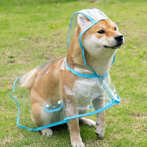 Waterproof Transparent Dog Raincoat – Reflective & Adjustable