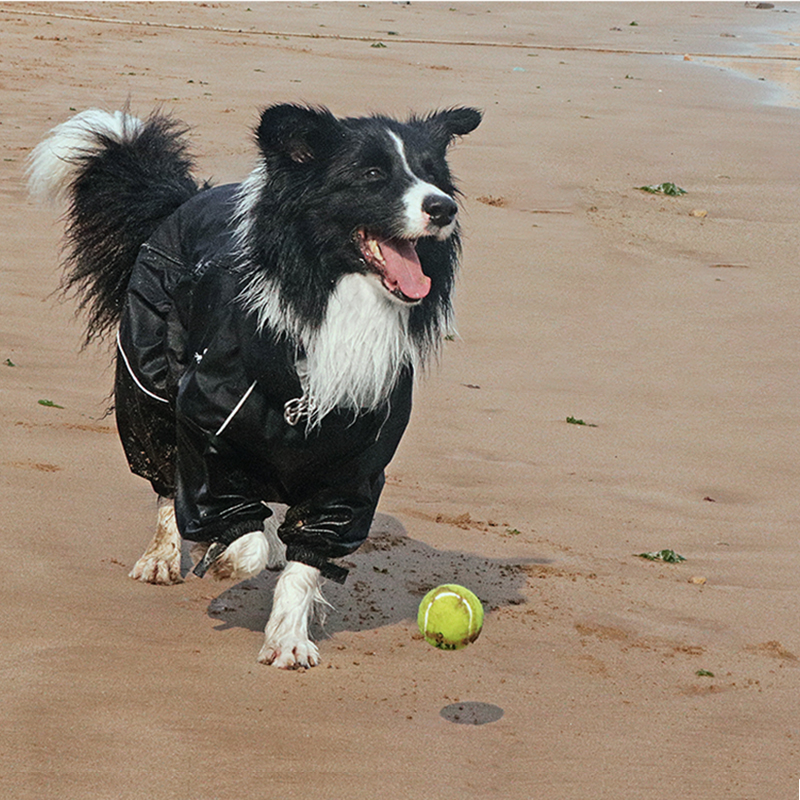 Waterproof Dog Jumpsuit with Reflective Details