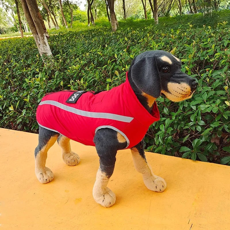 Personalized Dog Winter Jacket – Warm & Waterproof