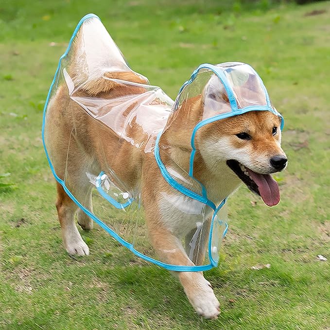 Waterproof Transparent Dog Raincoat – Reflective & Adjustable