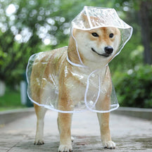 Waterproof Transparent Dog Raincoat – Reflective & Adjustable