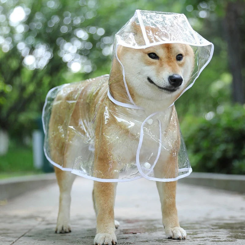 Waterproof Transparent Dog Raincoat – Reflective & Adjustable