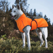 Waterproof Dog Jacket – Warm & Reflective