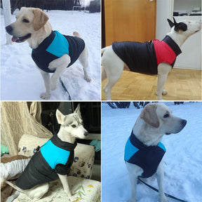 Waterproof & Insulated Dog Jacket