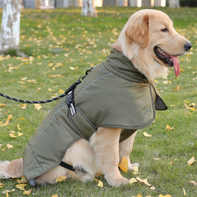 Windproof Dog Jacket – Warm & Adjustable