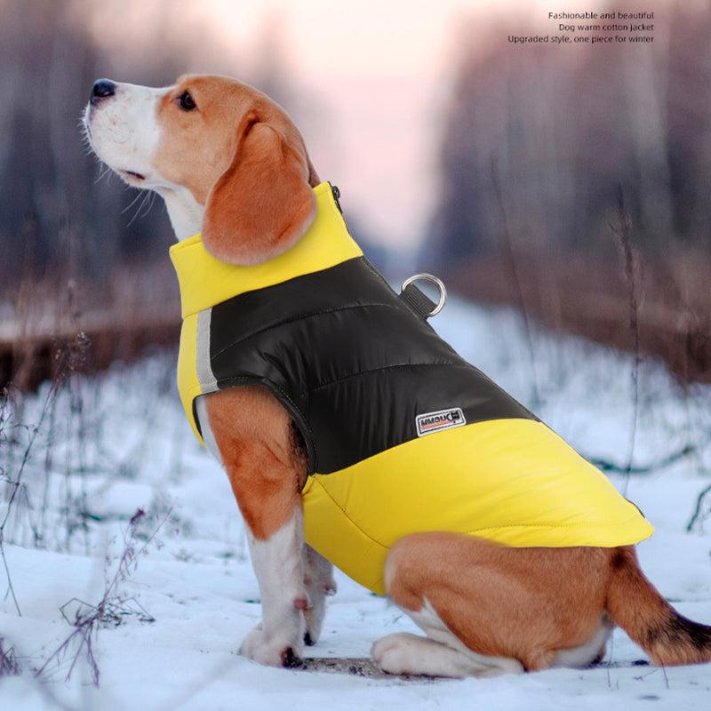 Waterproof & Insulated Dog Jacket