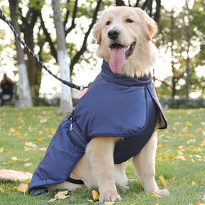 Windproof Dog Jacket – Warm & Adjustable