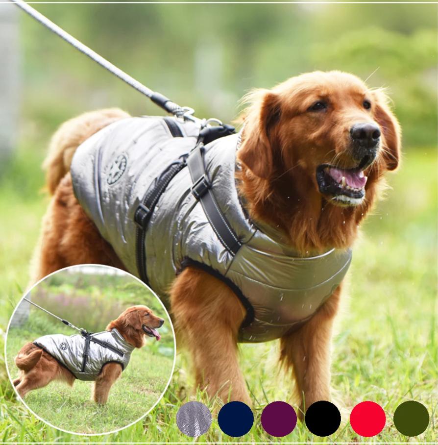 Waterproof Dog Jacket with Belly Strap – Warm & Comfortable