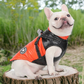 Waterproof & Windproof Dog Jacket – Warm & Safe