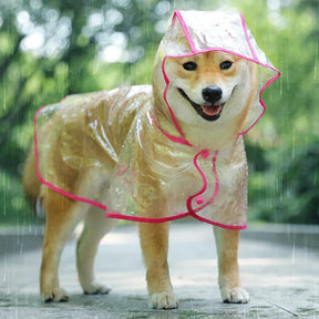 Waterproof Transparent Dog Raincoat – Reflective & Adjustable