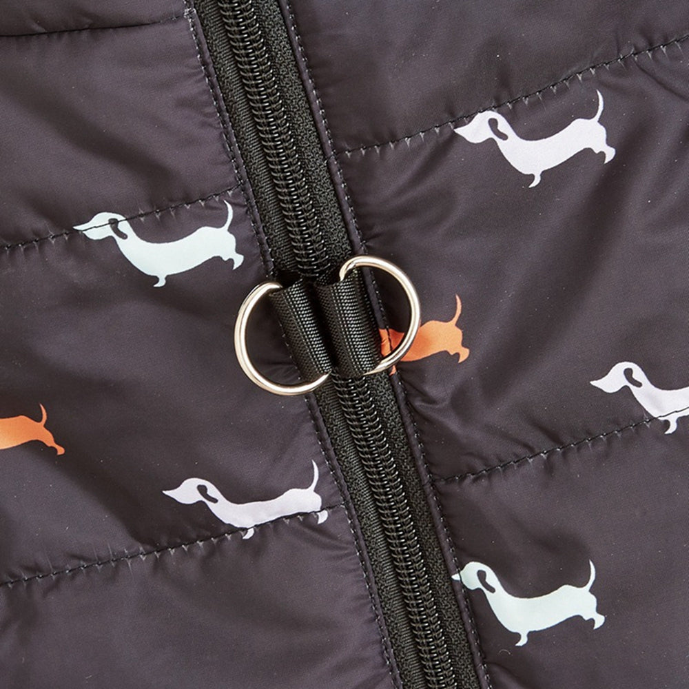 Windproof & Warm Dog Jacket