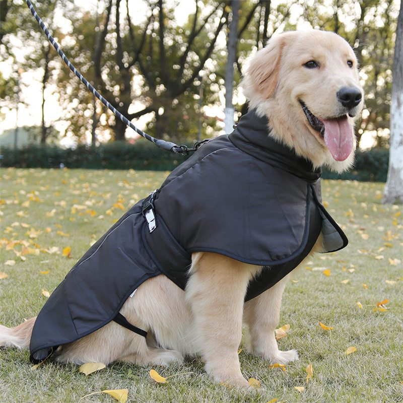 Windproof Dog Jacket – Warm & Adjustable