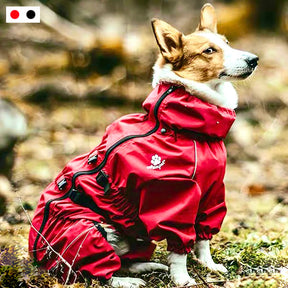 Waterproof Dog Jumpsuit with Reflective Details