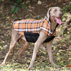 Reversible Waterproof Dog Jacket – Warm & Stylish