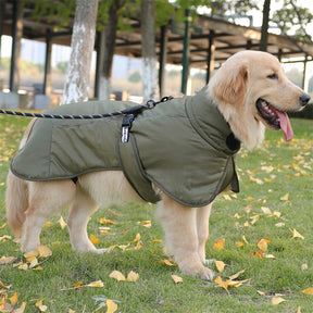 Windproof Dog Jacket – Warm & Adjustable