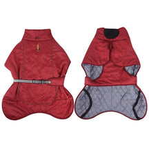 Windproof Dog Jacket – Warm & Adjustable