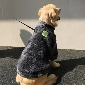 Windproof Dog Winter Coat – Warm & Stylish